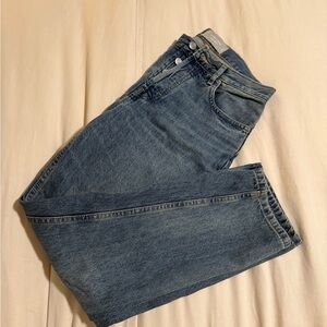 Everlane The 90s Cheeky Jean 26 Ankle